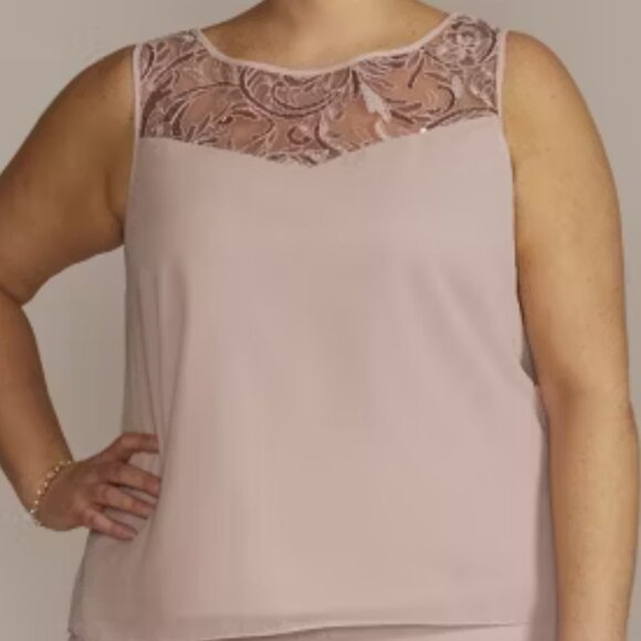 New LT Lanting 18W Embroidered Illusion Blouse Sleeveless Dusty Rose Top Party - Picture 1 of 10